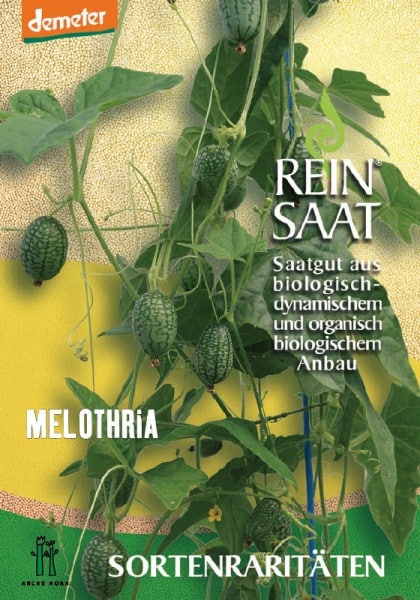 Melothria