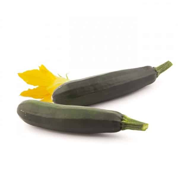 Zucchini ‘Zelena Tikvica’