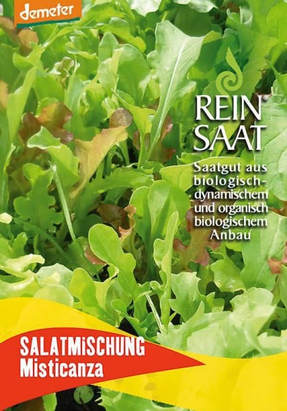 Salatmischung Misticanza (Pflücksalat)