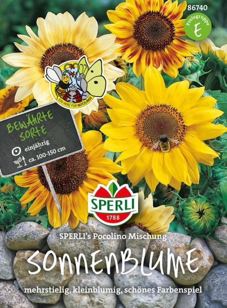 Sonnenblume SPERLI’s Pocolino Mischung