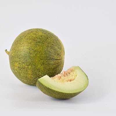 Zuckermelone ‘Kolchosnitza’
