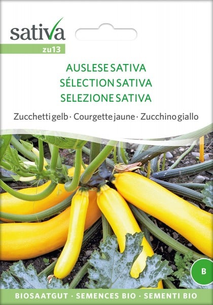 Zucchini Auslese Sativa