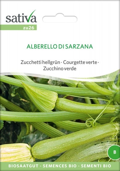 Zucchini Alberello di Sarzana