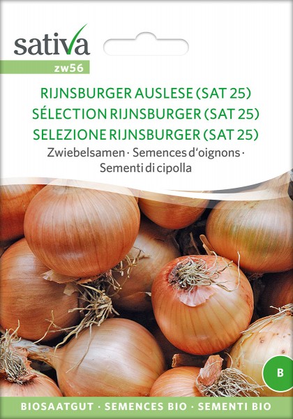 Zwiebel Rijnsburger Auslese (SAT25)