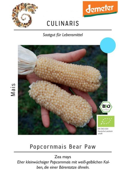 Popcornmais Bear Paw