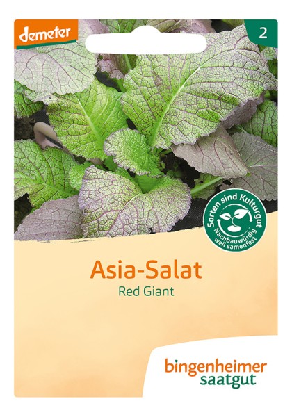 Asia – Salat Red Giant