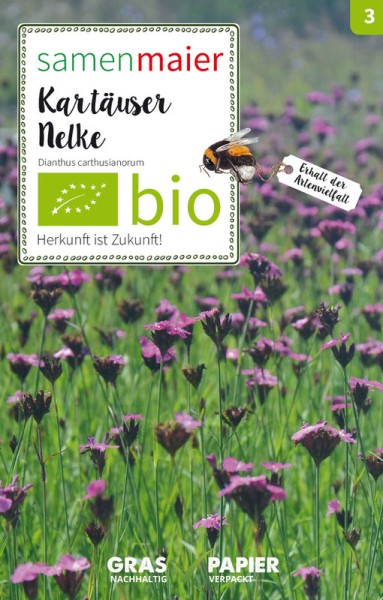 Wildblume Karthäuser Nelke (MHD 12/2023)