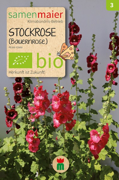 BIO Stockrose (Bauernrose), dunkelrot