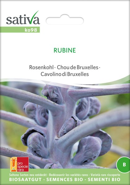 Rosenkohl Rubine