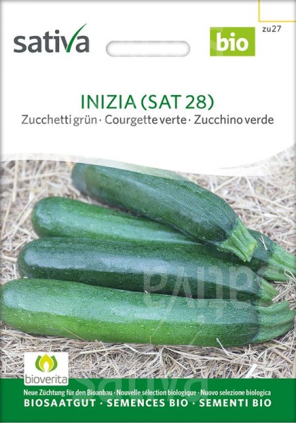 Zucchini “Inizia (SAT 28)”